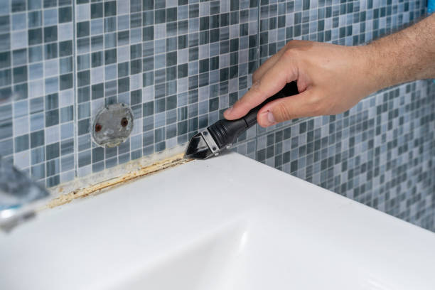 Best Localized Mold Remediation (e.g., coastal areas, humid climates) in Auburn, NE